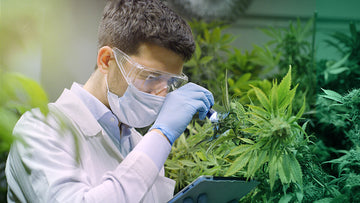 WHY CHOOSE BROAD SPECTRUM?