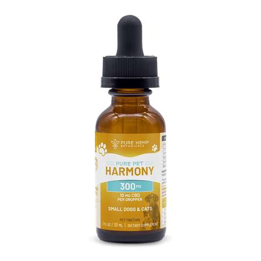 CBD Oil for Dogs and Pets