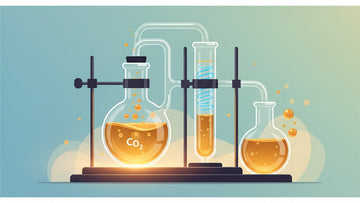 cbn decarboxylation process - Professional illustration