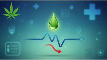 Blog Post: does cbd oil cause low blood pressure - Professional illustration