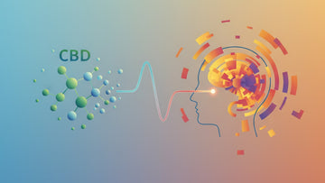Blog Post: does cbd cause mania - Professional illustration
