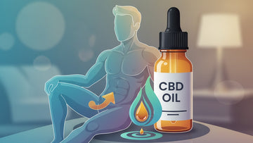 Blog Post: how to use cbd oil for erectile dysfunction - Professional illustration