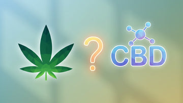 Blog Post: is cbd marijuana - Professional illustration