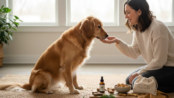 cbd for dogs meeting new people - Professional illustration