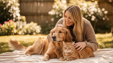 pet cancer comfort care protocol - Professional illustration