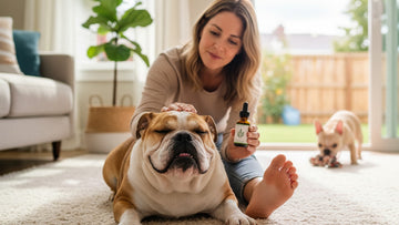 cbd for bulldogs breathing support - Professional illustration
