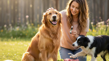 cbd with raw diet for dogs - Professional illustration