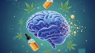 Blog Post: does cbd oil cause memory loss - Professional illustration