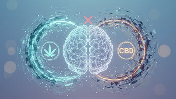 Blog Post: is cbd bad for schizophrenia - Professional illustration