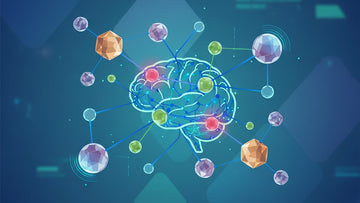 Blog Post: is cbd anticholinergic - Professional illustration