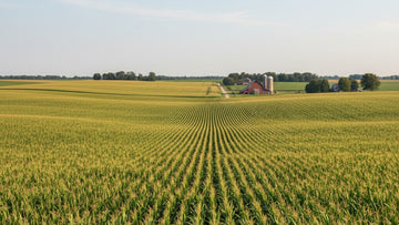 2018 farm bill explained simply - Professional illustration