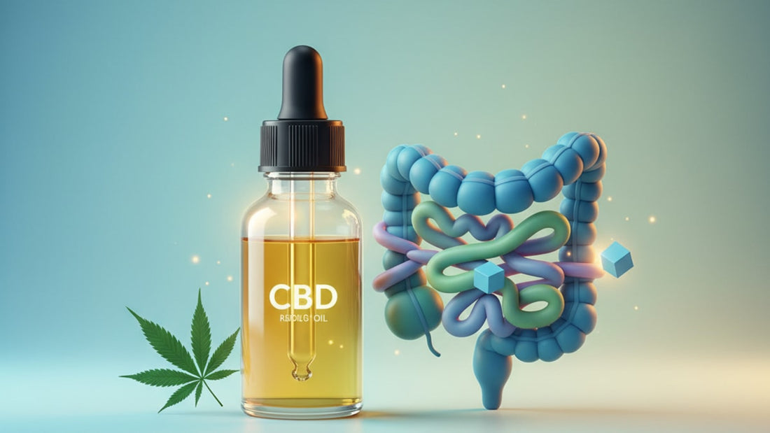 Blog Post: can cbd oil cause constipation - Professional illustration