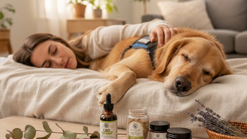 cbd for service animals - Professional illustration