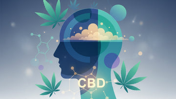 Blog Post: is cbd hallucinogenic - Professional illustration