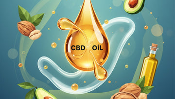 Blog Post: is cbd fat soluble - Professional illustration