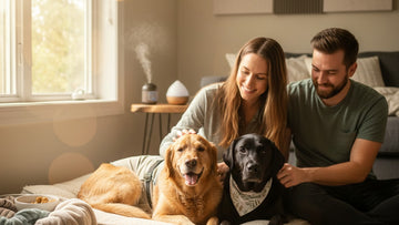 fireworks anxiety in dogs solutions - Professional illustration