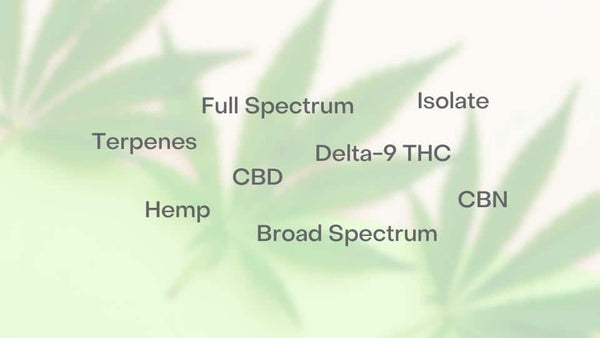 Delta-9 vs. Full Spectrum vs. Broad Spectrum vs. Isolate