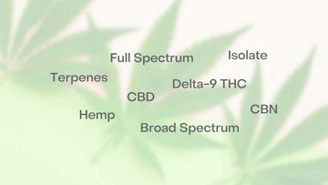 Delta-9 vs. Full Spectrum vs. Broad Spectrum vs. Isolate