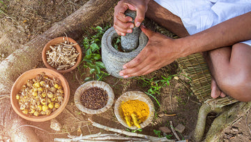 HEMP IN TRADITIONAL INDIAN MEDICINE