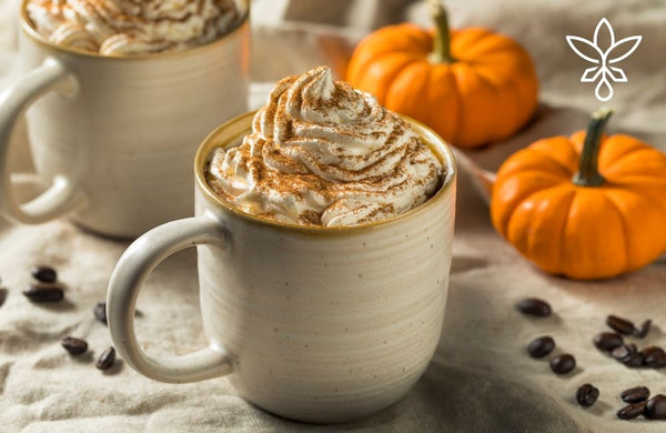 Homemade Pumpkin Spice CBD Coffee Creamer