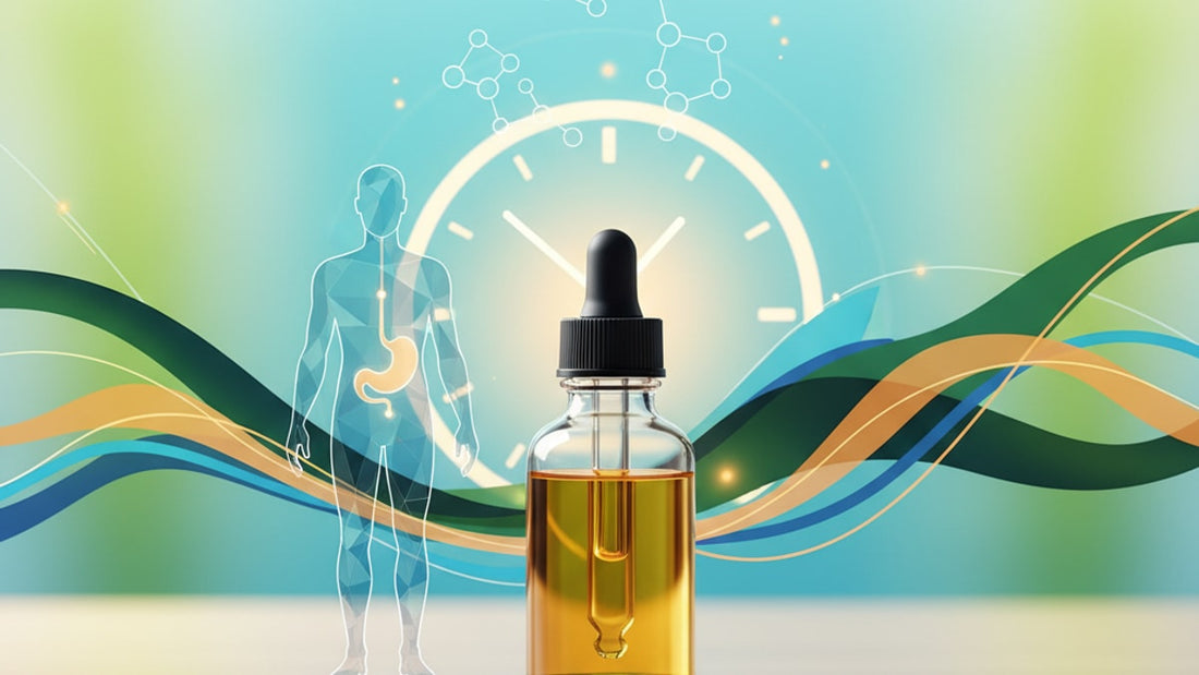 Blog Post: how long does cbd oil stay in your system - Professional illustration