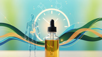 Blog Post: how long does cbd oil stay in your system - Professional illustration