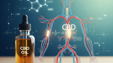 Blog Post: is cbd a vasodilator - Professional illustration