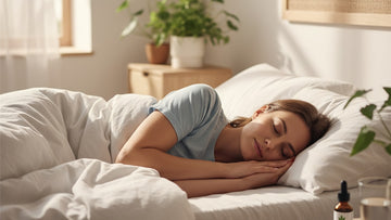 Blog Post: does cbd oil help insomnia - Professional illustration
