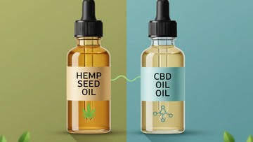 Blog Post: is hemp seed oil the same as cbd oil - Professional illustration