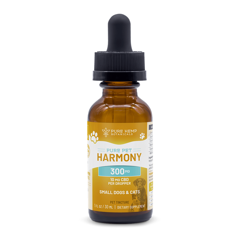 CBD Oil Dogs Pets