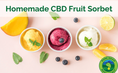 Cooking With CBD: Homemade CBD Fruit Sorbet