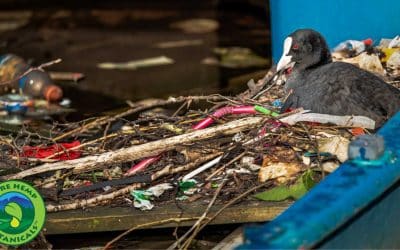 Going Green: Cutting out Plastic Straws.