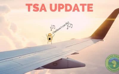 Traveling with CBD: 2019 Update!