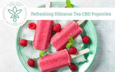 Refreshing Hibiscus Tea CBD Popsicles