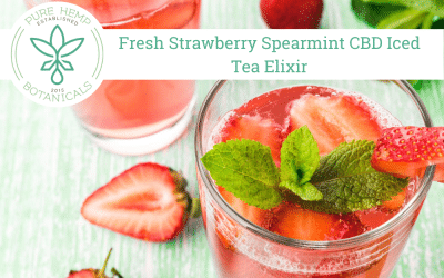 Fresh Strawberry Spearmint CBD Iced Tea Elixir