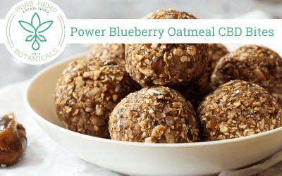 Power Blueberry Oatmeal CBD Bites