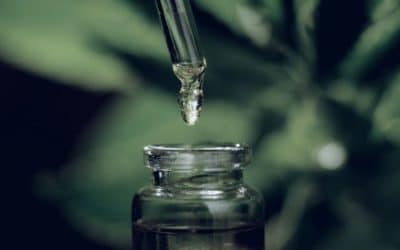 What is the difference between CBD and CBN?