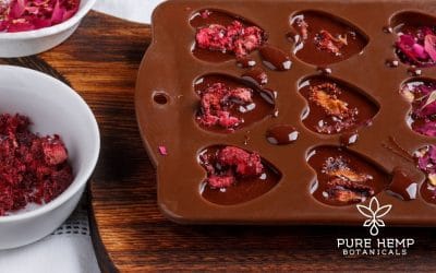 CBD Raspberry Dark Chocolate ~ Valentine’s Day Recipe