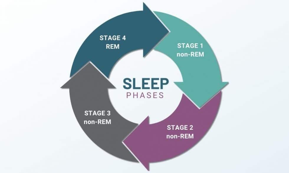 Sleep Cycle: What Is REM Sleep? - Pure Hemp Botanicals