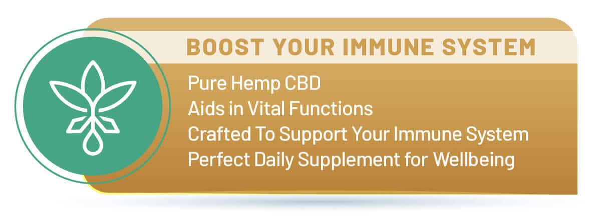 CBD Immune Support Banner