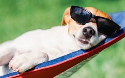 10 Tips To Beat The Heat This Summer
