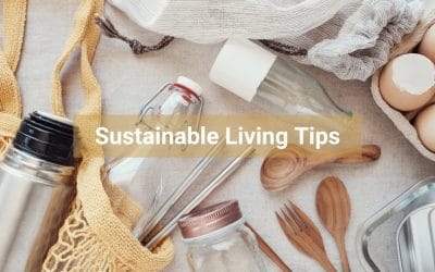 Eco-Friendly Sustainable Living Tips