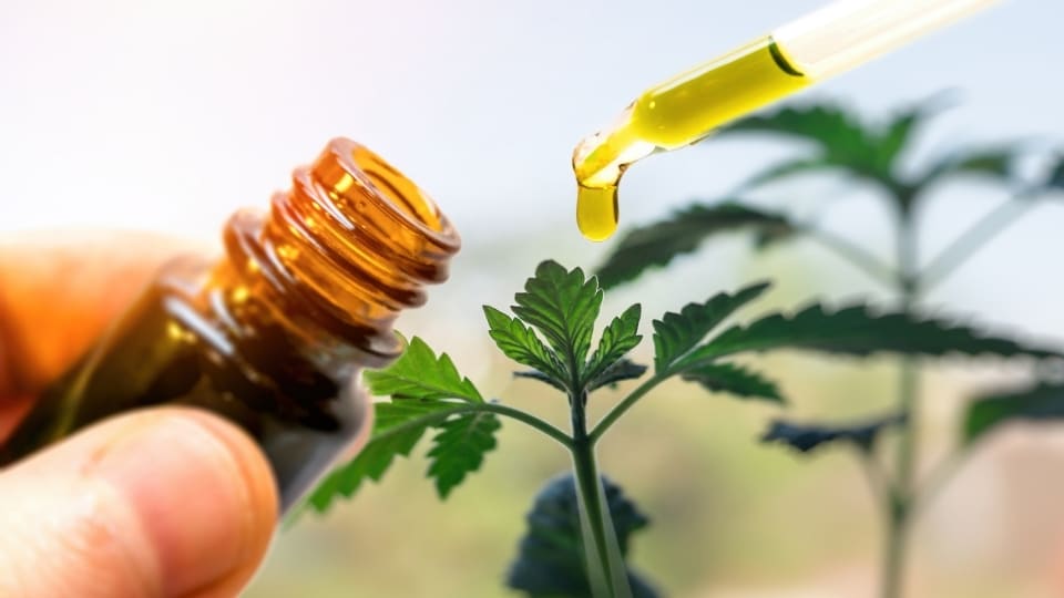 How You Can Use CBD Oil