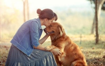 6 Signs CBD Can Help Your Pets Health