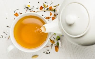 Plant Wisdom Hemp Tea For Wellness