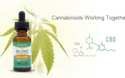 Better Together: The Synergy of CBD and THC