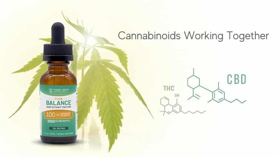 CBD and THC Cannabinoids working together